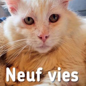 Neuf Vies - Des chats aux destins singuliers